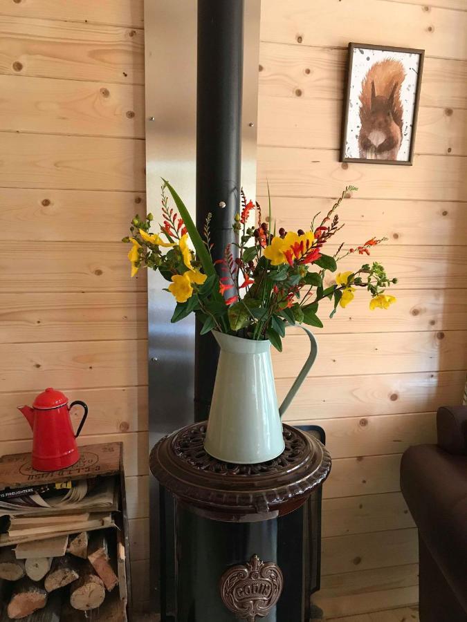 Off Grid Hideaway On The West Coast Of Scotland Villa Blairmore Eksteriør billede